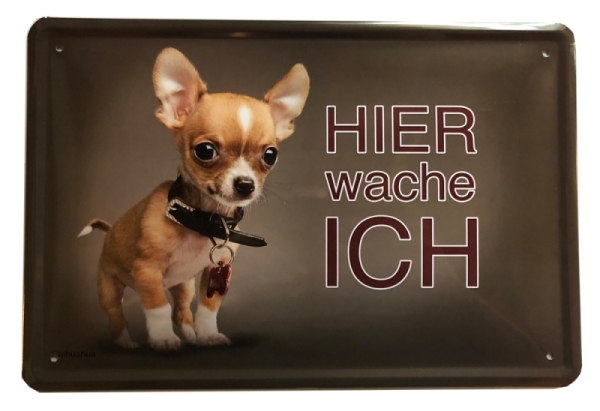 Blechschild - Hier wache ich - Chihuahua - BS154